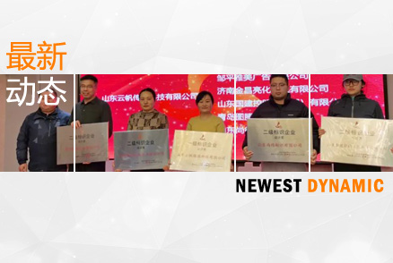 我司榮獲山東標(biāo)協(xié)“設(shè)計類二級資質(zhì)企業(yè)”